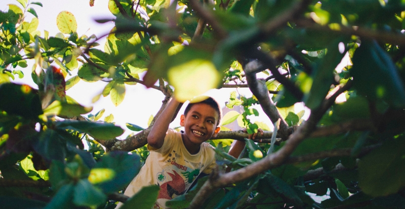 Niño amazónico sonriente entre hojas verdes, símbolo de esperanza ambiental y salud comunitaria, en el marco del proyecto Río Limpio de Prisma ONG en Perú.