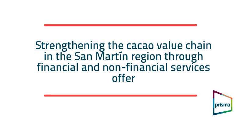 Strengthening the cacao value chain in the San Martín region through financial and non-financial services offer