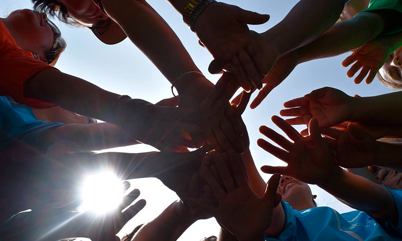 Resultados encuesta clima laboral prisma ong