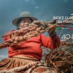Índice Global del Hambre webinar prisma