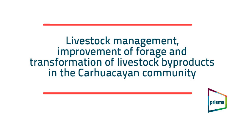 Livestock management, improvement of forage and transformation of livestock byproducts in the Carhuacayan community