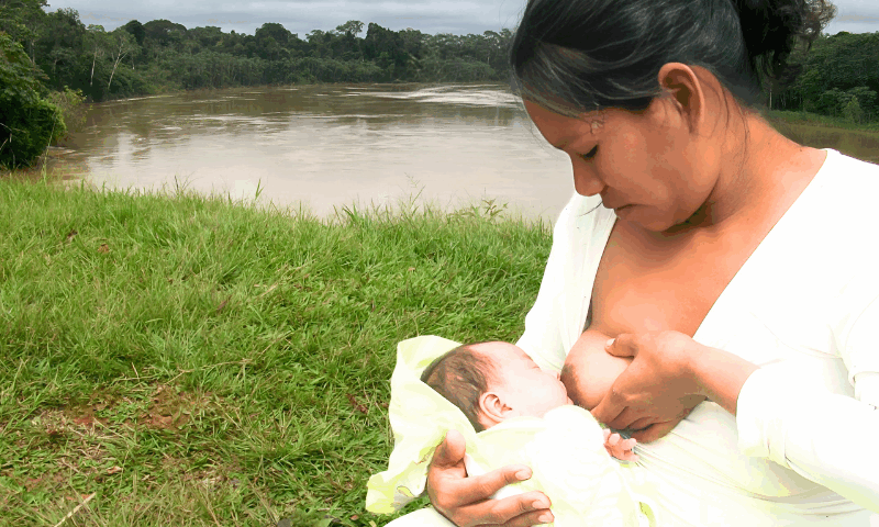 Lactancia materna selva - Prisma ONG