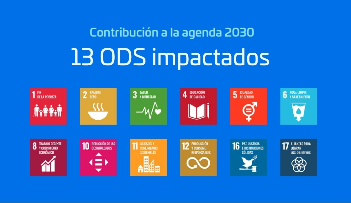 12 ODS impactados . Prisma ONG