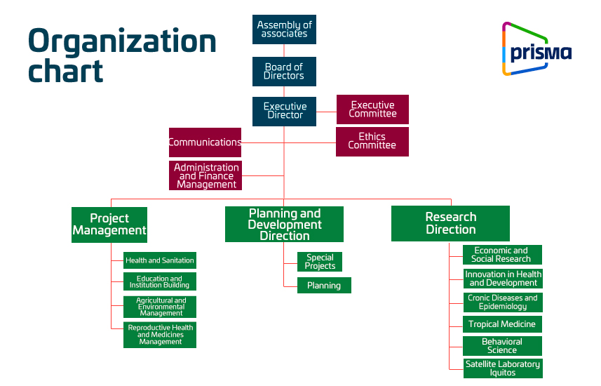 Organization - Prisma ONG