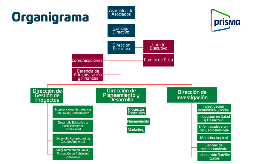 Organigrama_Español_V4 organigrama prisma ong