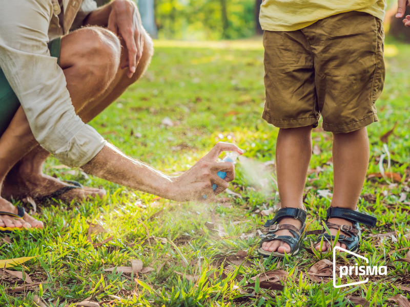 PRISMA ONG contra el dengue acciones comunitarias de prevención