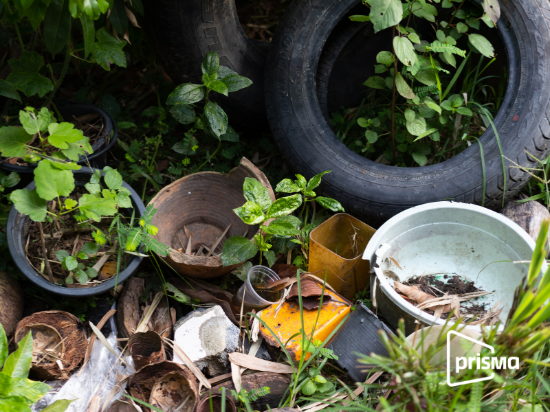 PRISMA ONG contra el dengue acciones comunitarias de limpieza