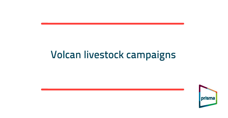 Volcan livestock campaigns