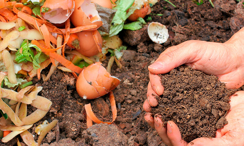 compost organico en casa