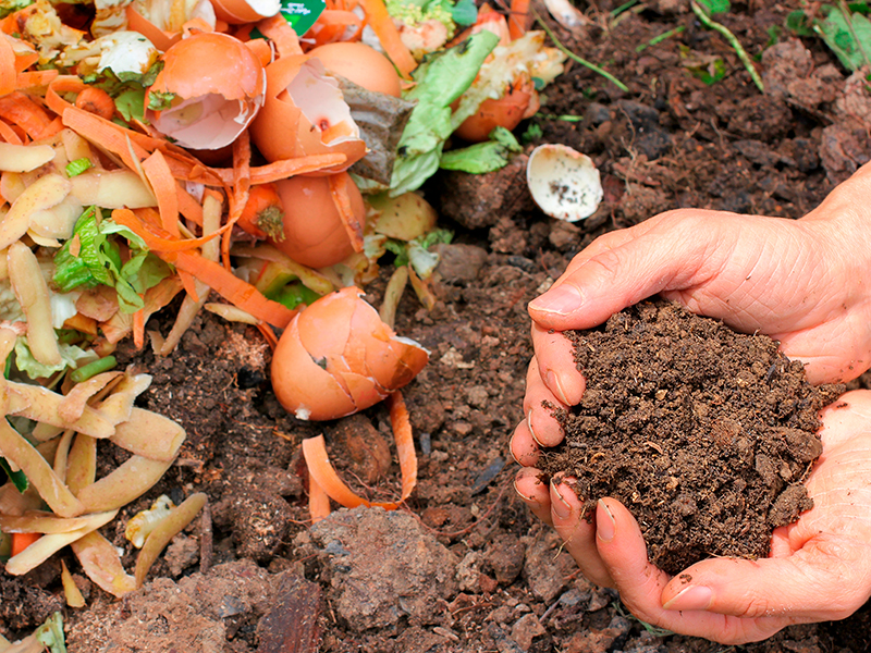 compost organico en casa