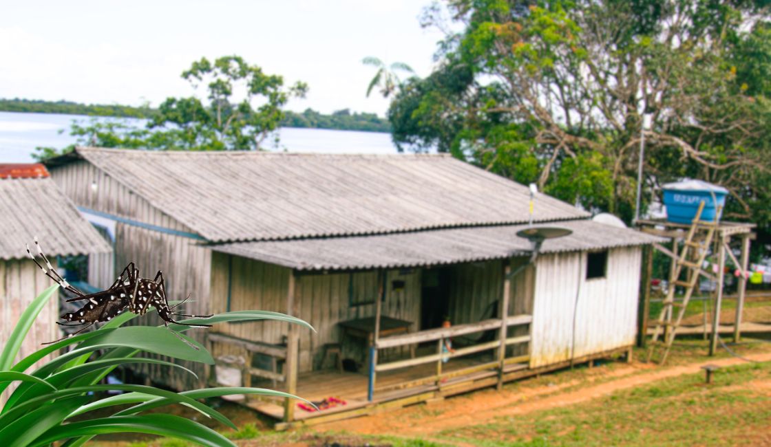 Comunidad rural amazónica- webinar Dengue Prisma ONG