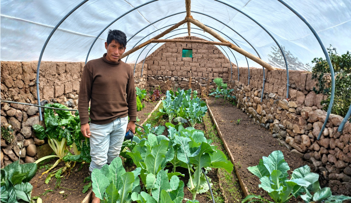 PRISMA ONG. Joven agricultor junto a cultivos de hortalizas en un fitotoldo de estructura arqueada en una comunidad andina.