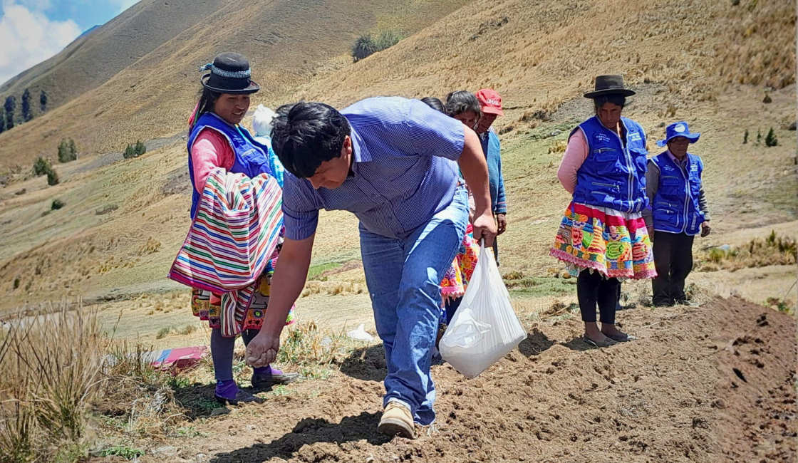 PRISMA ONG.Hombre realiza labores agrícolas en una parcela de la sierra peruana acompañado por integrantes de una comunidad andina.