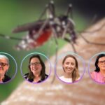Webinar Dengue Amazonía en Riesgo por Prisma ONG Perú
