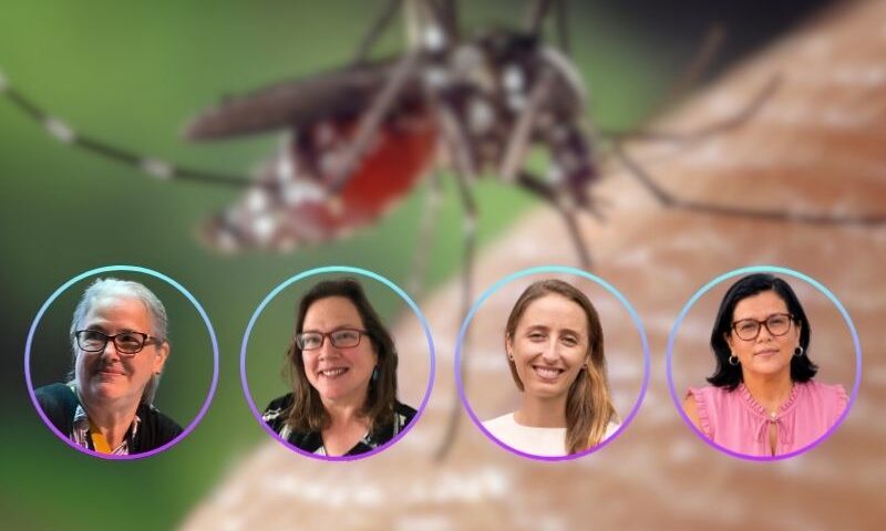 Webinar Dengue Amazonía en Riesgo por Prisma ONG Perú