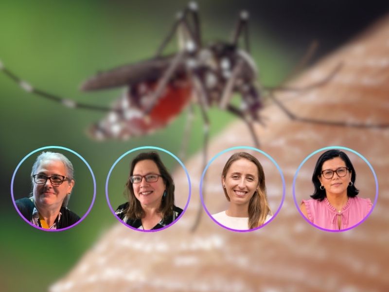 Webinar Dengue Amazonía en Riesgo por Prisma ONG Perú