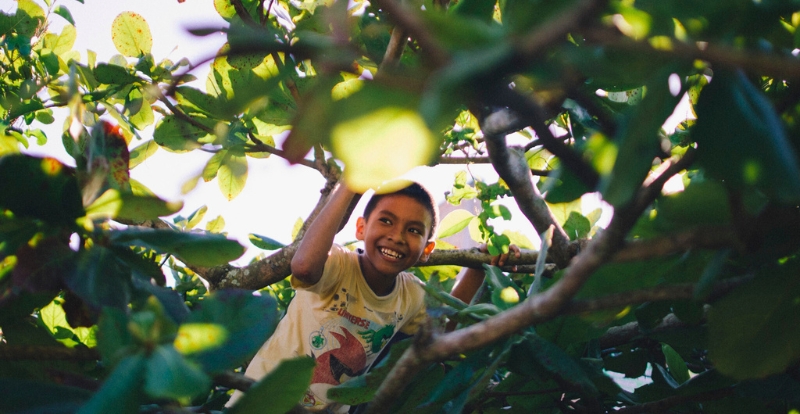 Niño amazónico sonriente entre hojas verdes, símbolo de esperanza ambiental y salud comunitaria, en el marco del proyecto Río Limpio de Prisma ONG en Perú.