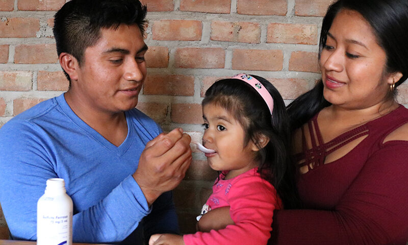 suplementacion hierro anemia