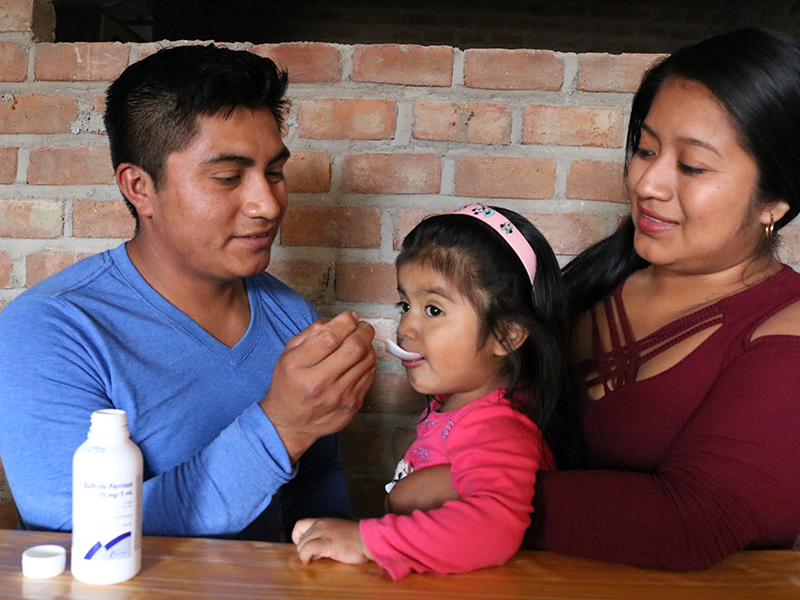 suplementacion hierro anemia